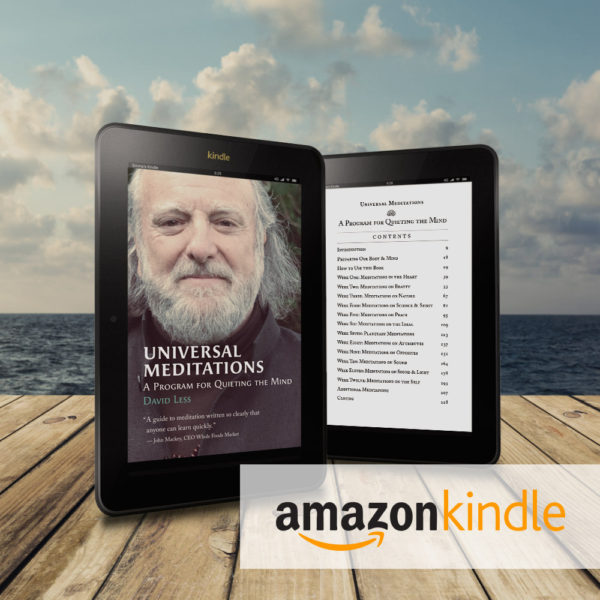 Universal Meditations Kindle | David Less